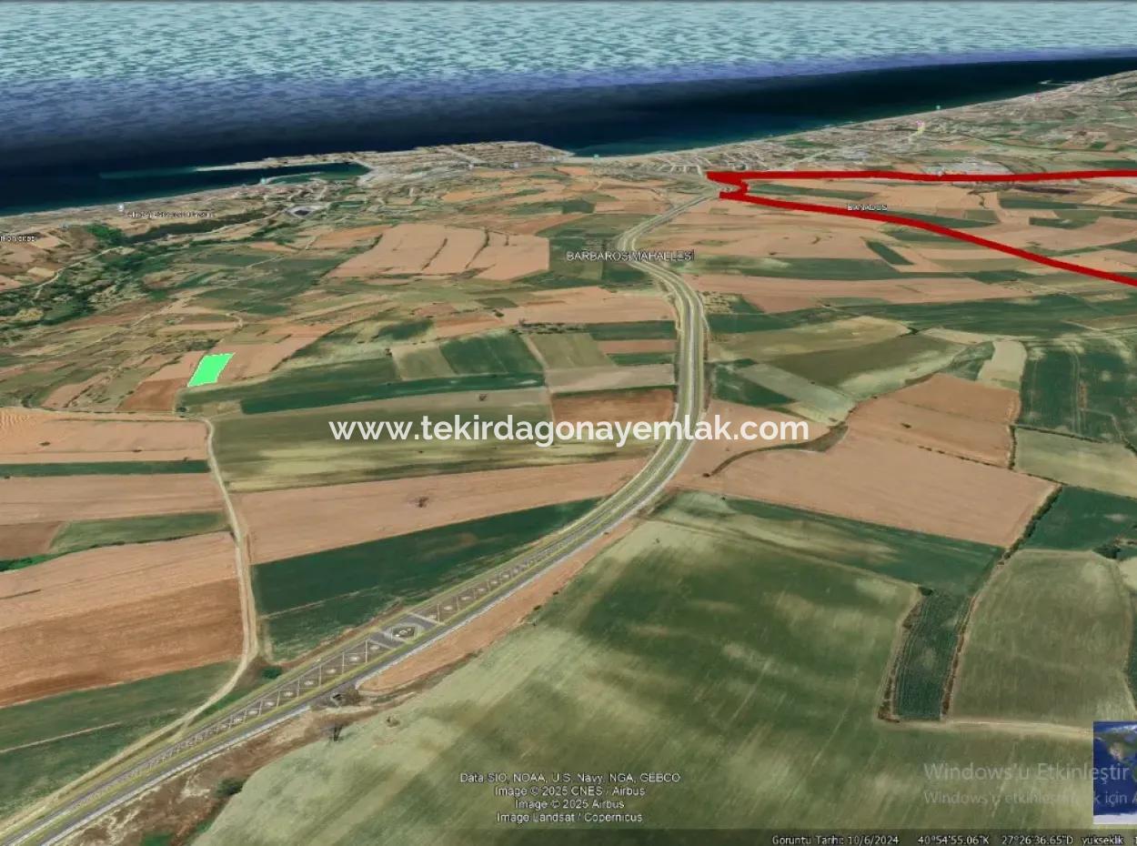 Asyaport Port Is A High Profit Guarantee Opportunity Land For Its Investors Within The Current Zoning Plan