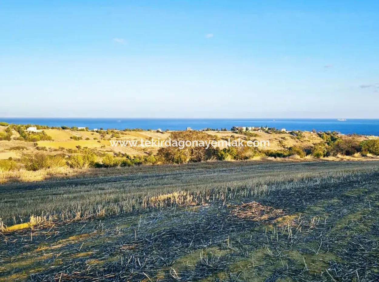 Asyaport Port Is A High Profit Guarantee Opportunity Land For Its Investors Within The Current Zoning Plan