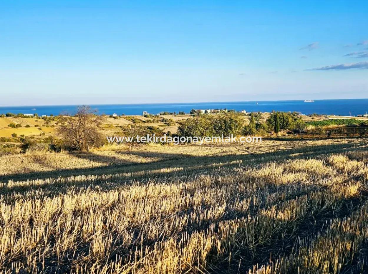 Asyaport Port Is A High Profit Guarantee Opportunity Land For Its Investors Within The Current Zoning Plan