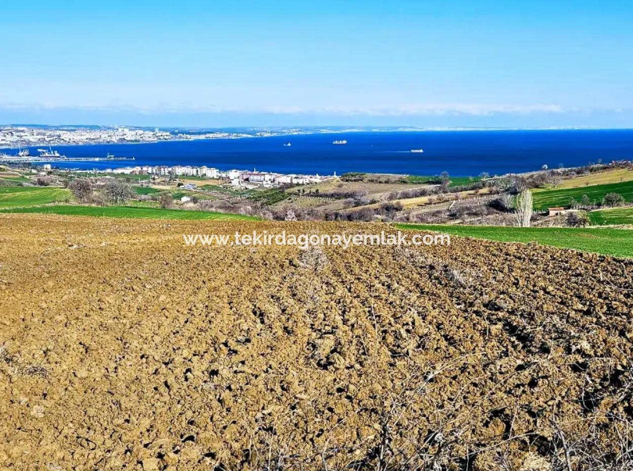 Tekirdag Barbarosta Luxury Villa Project Yap. Give A Flat To The Contractors And Make A High Profit Villa With Full Sea View Zoned Land