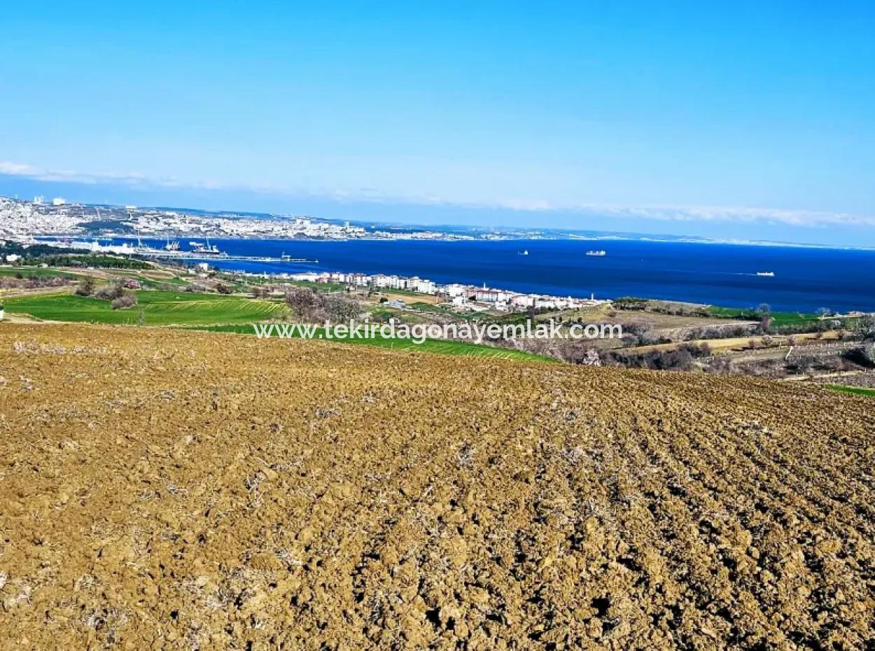 Tekirdag Barbarosta Luxury Villa Project Yap. Give A Flat To The Contractors And Make A High Profit Villa With Full Sea View Zoned Land