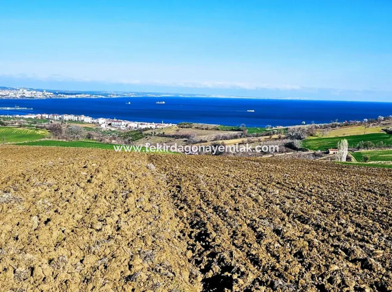 Tekirdag Barbarosta Luxury Villa Project Yap. Give A Flat To The Contractors And Make A High Profit Villa With Full Sea View Zoned Land