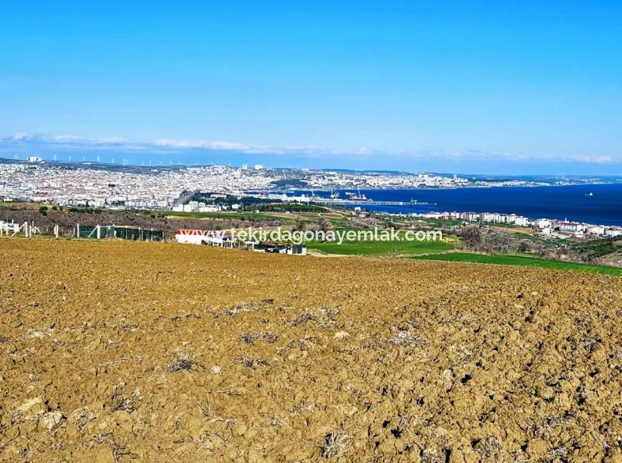 Tekirdag Barbarosta Luxury Villa Project Yap. Give A Flat To The Contractors And Make A High Profit Villa With Full Sea View Zoned Land