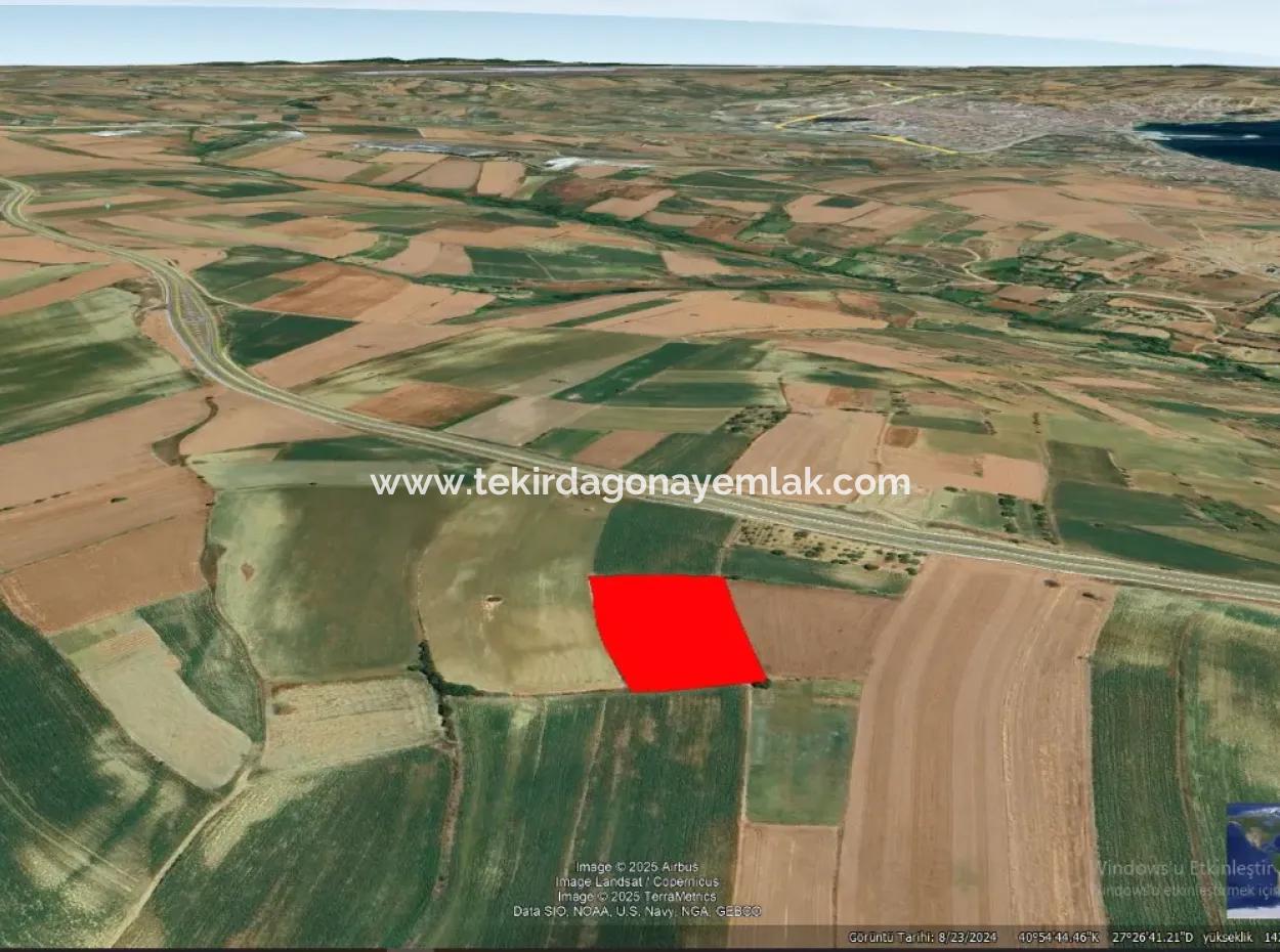 Commercial And Industrial Area Investment Opportunity Within The Current Zoning Plan Of Asyaport Port In Tekirdağ Barbaros Region