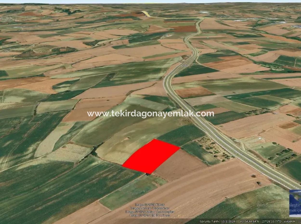 Commercial And Industrial Area Investment Opportunity Within The Current Zoning Plan Of Asyaport Port In Tekirdağ Barbaros Region