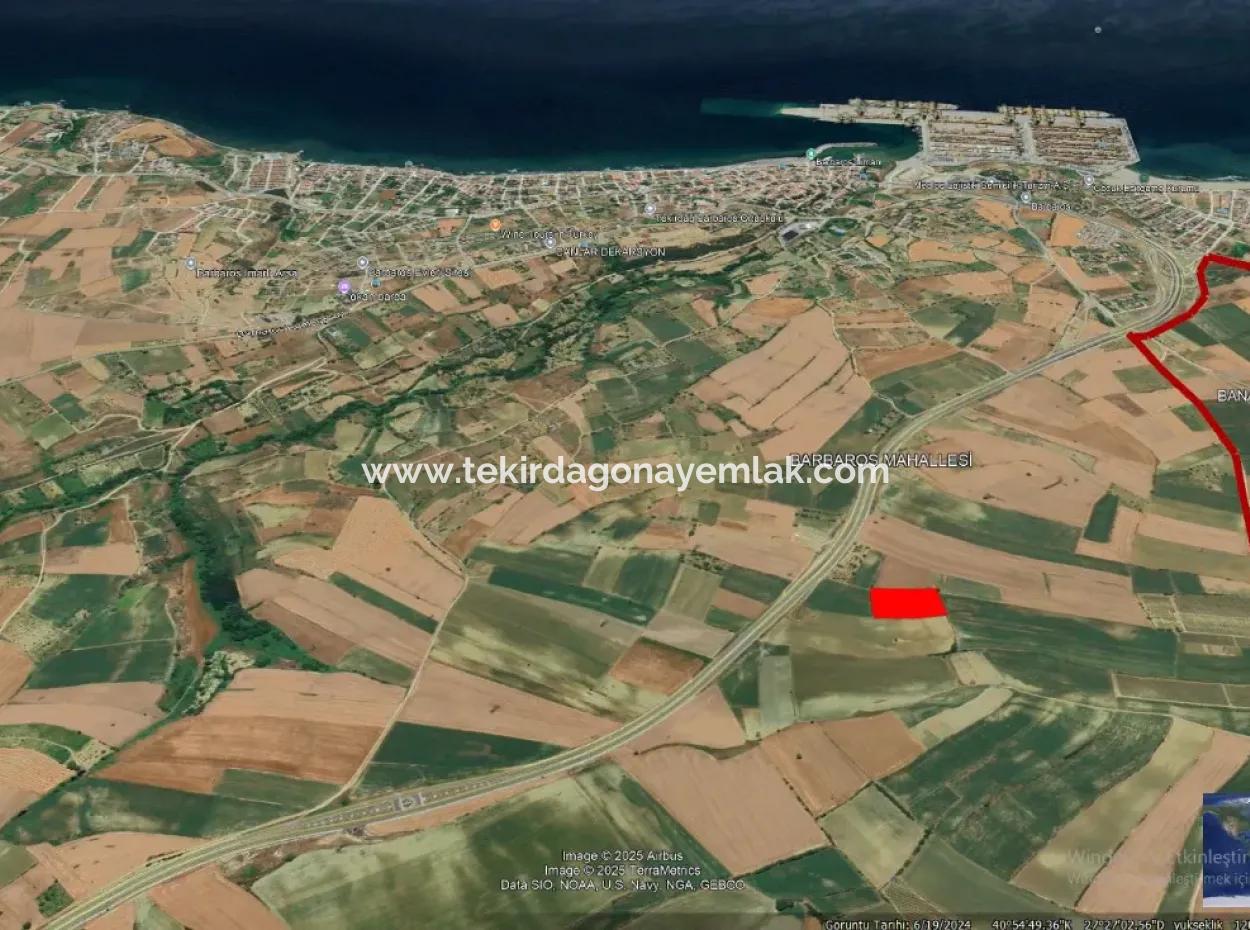 Commercial And Industrial Area Investment Opportunity Within The Current Zoning Plan Of Asyaport Port In Tekirdağ Barbaros Region