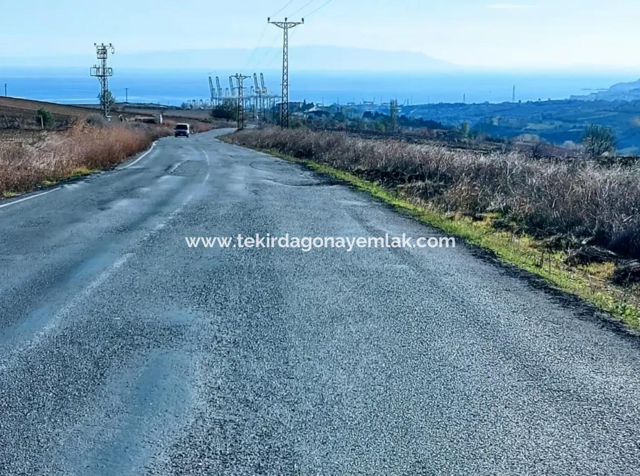 5.400 M2 High Profit Guaranteed Opportunity Place In The Area Of Factories For Urgent Sale