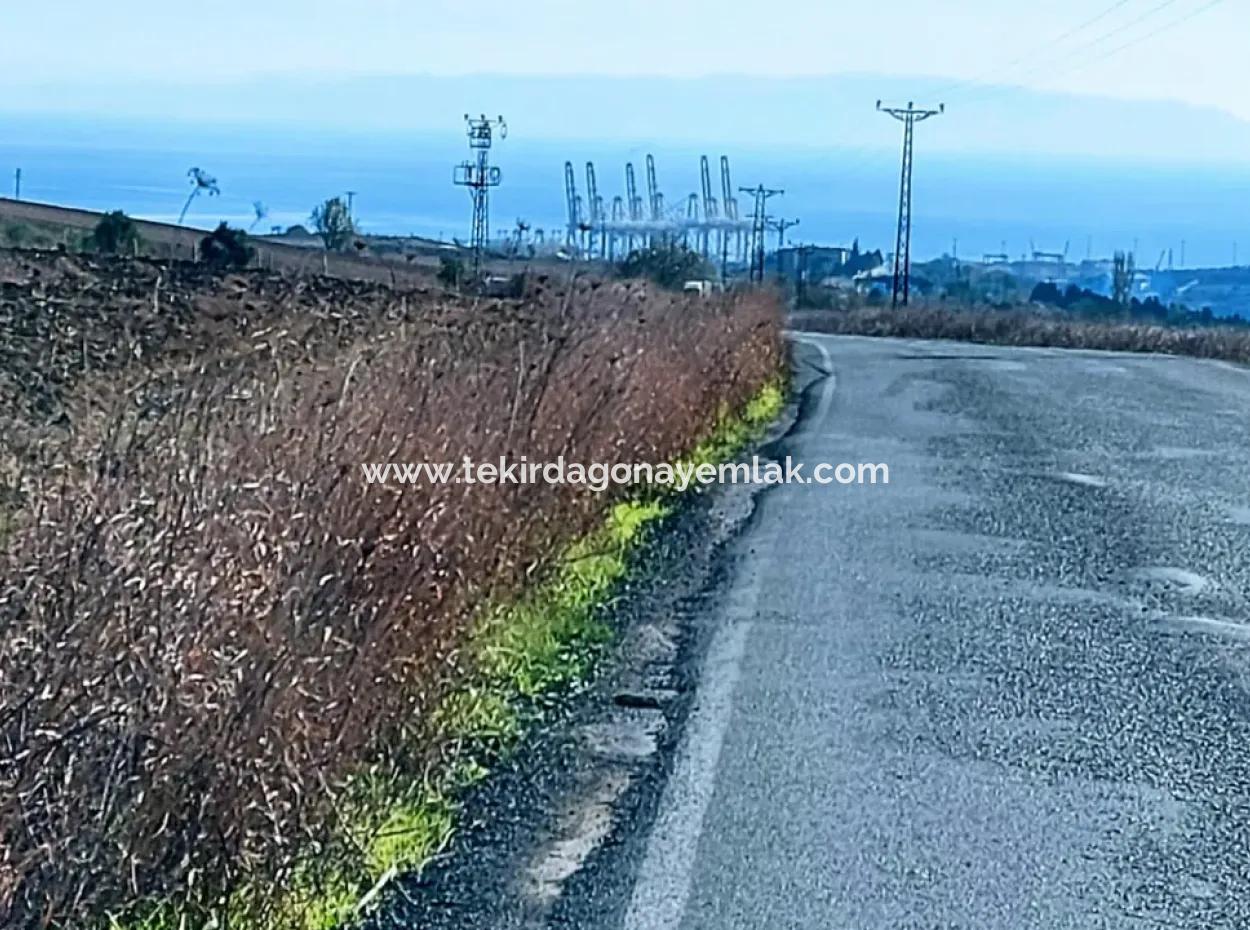 5.400 M2 High Profit Guaranteed Opportunity Place In The Area Of Factories For Urgent Sale