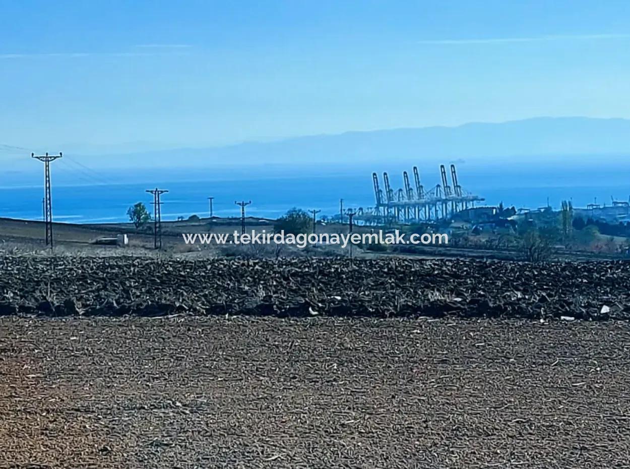 5.400 M2 High Profit Guaranteed Opportunity Place In The Area Of Factories For Urgent Sale