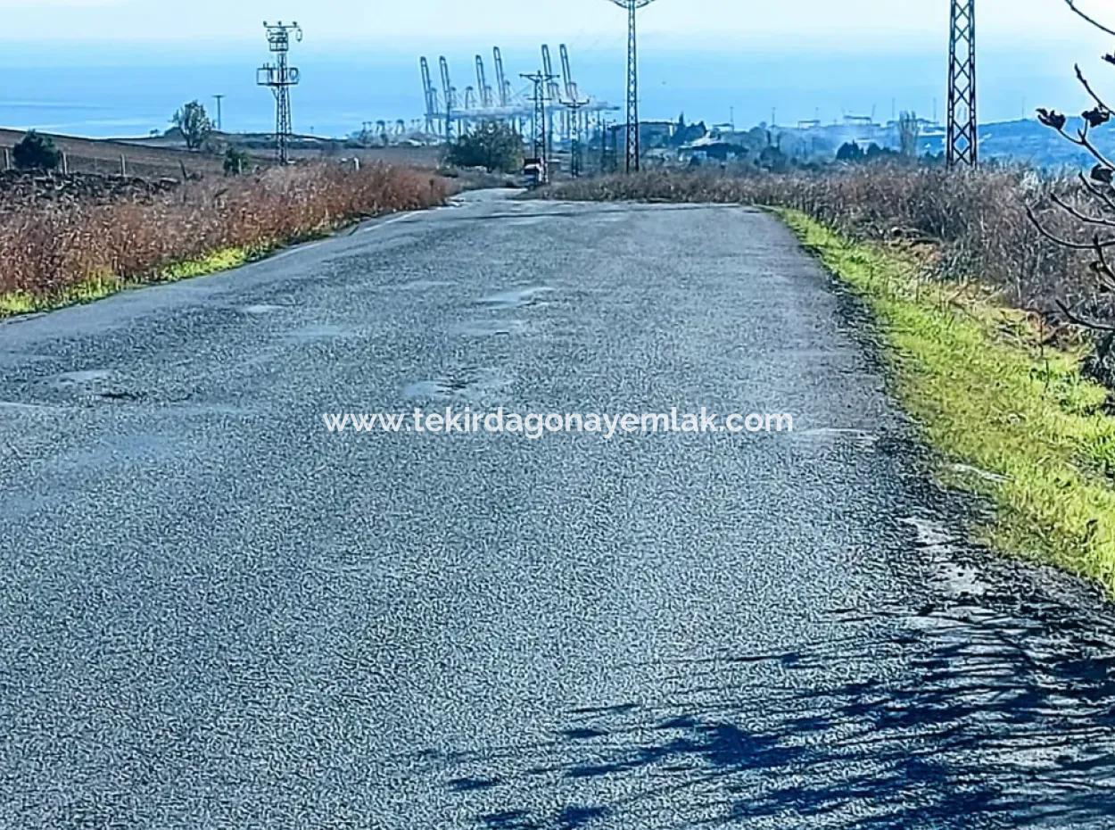 5.400 M2 High Profit Guaranteed Opportunity Place In The Area Of Factories For Urgent Sale