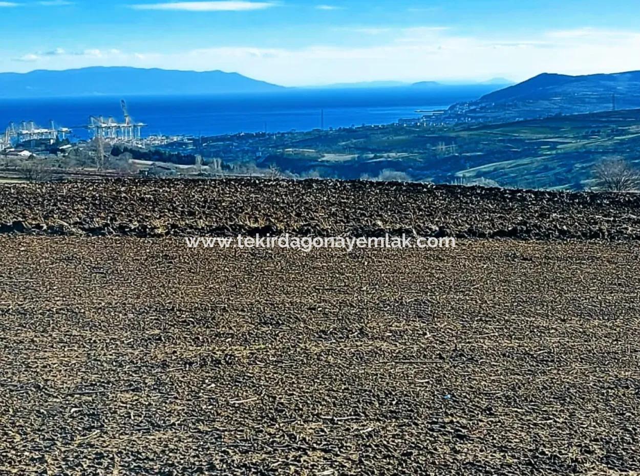 5.400 M2 High Profit Guaranteed Opportunity Place In The Area Of Factories For Urgent Sale