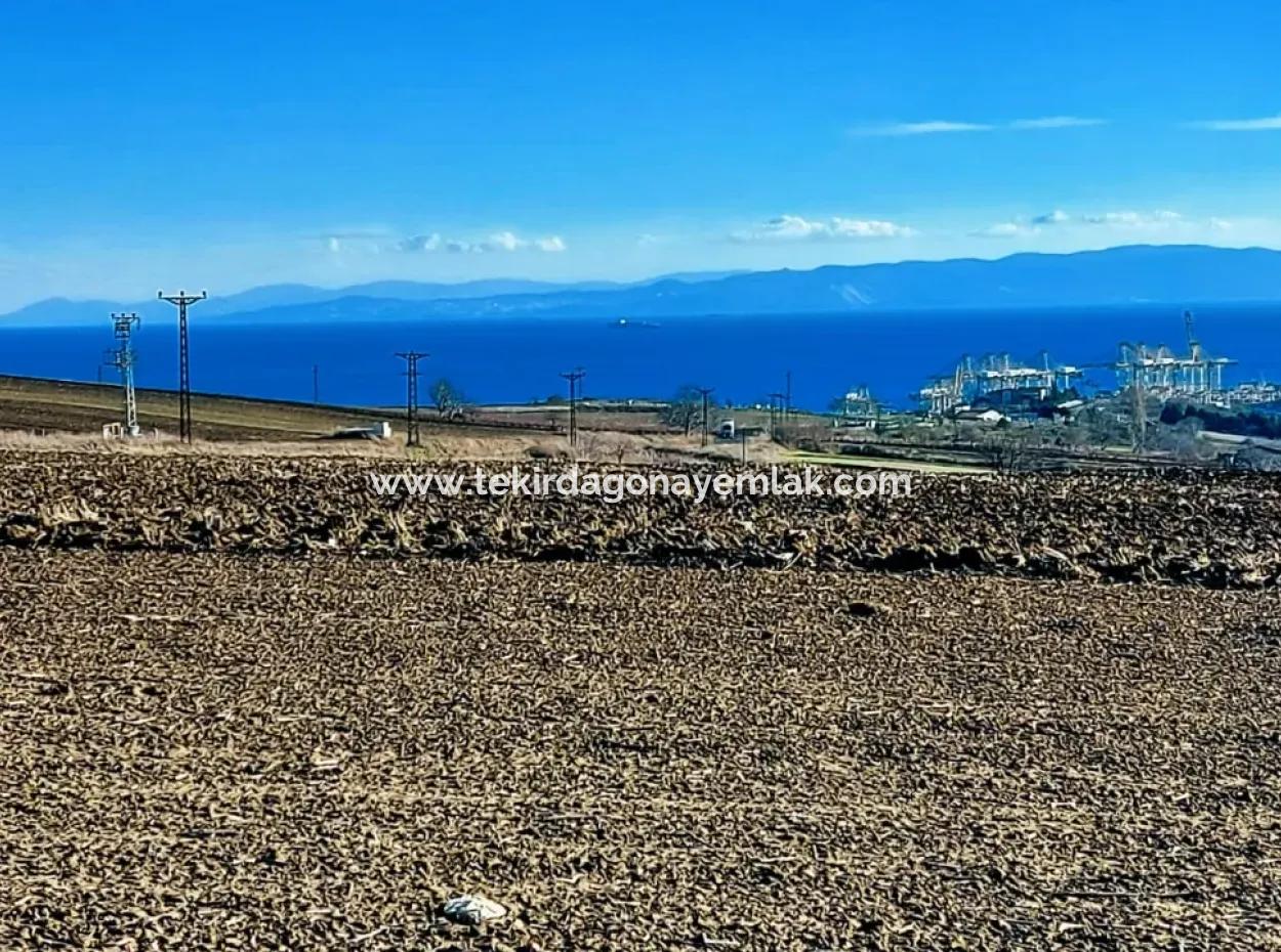 5.400 M2 High Profit Guaranteed Opportunity Place In The Area Of Factories For Urgent Sale