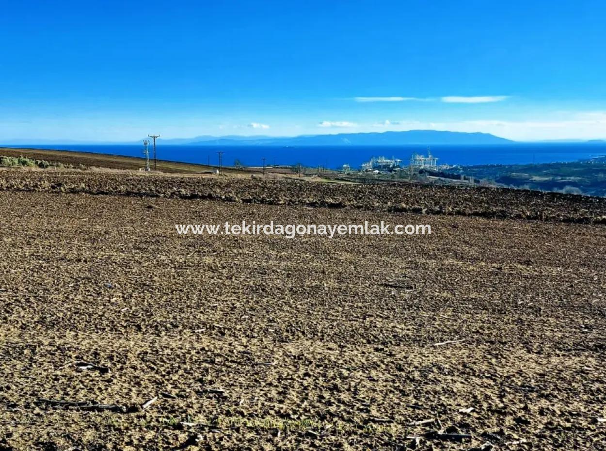 5.400 M2 High Profit Guaranteed Opportunity Place In The Area Of Factories For Urgent Sale