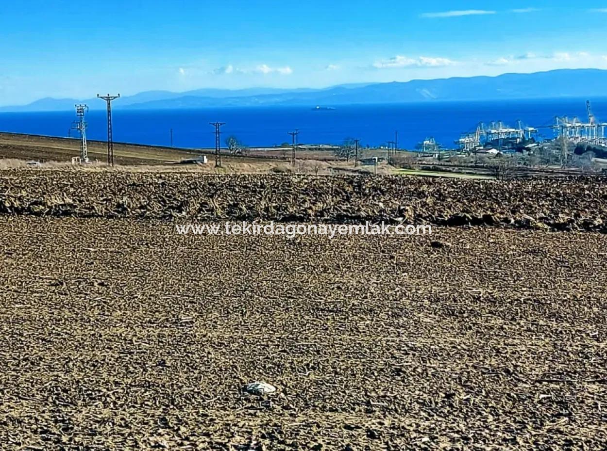 5.400 M2 High Profit Guaranteed Opportunity Place In The Area Of Factories For Urgent Sale