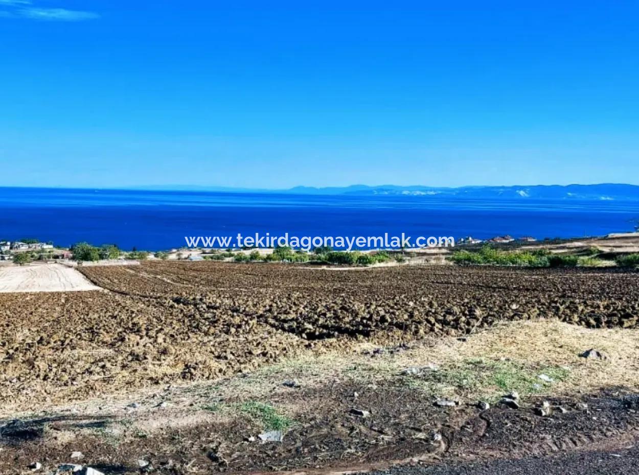 High Profit Guarantee Invest In 44 Flats Of Mass Housing Area Give To Contractors Double Your Profits