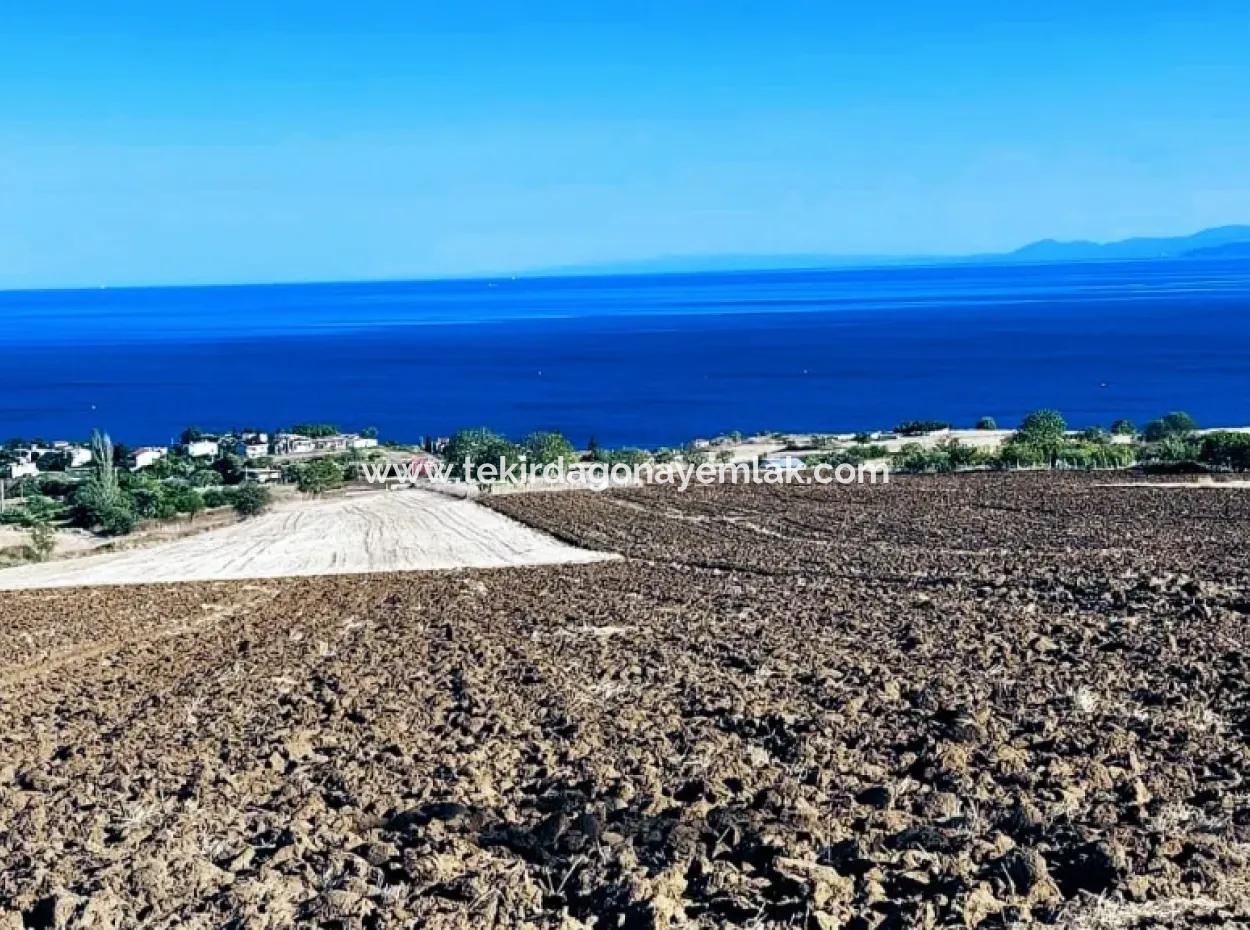 High Profit Guarantee Invest In 44 Flats Of Mass Housing Area Give To Contractors Double Your Profits