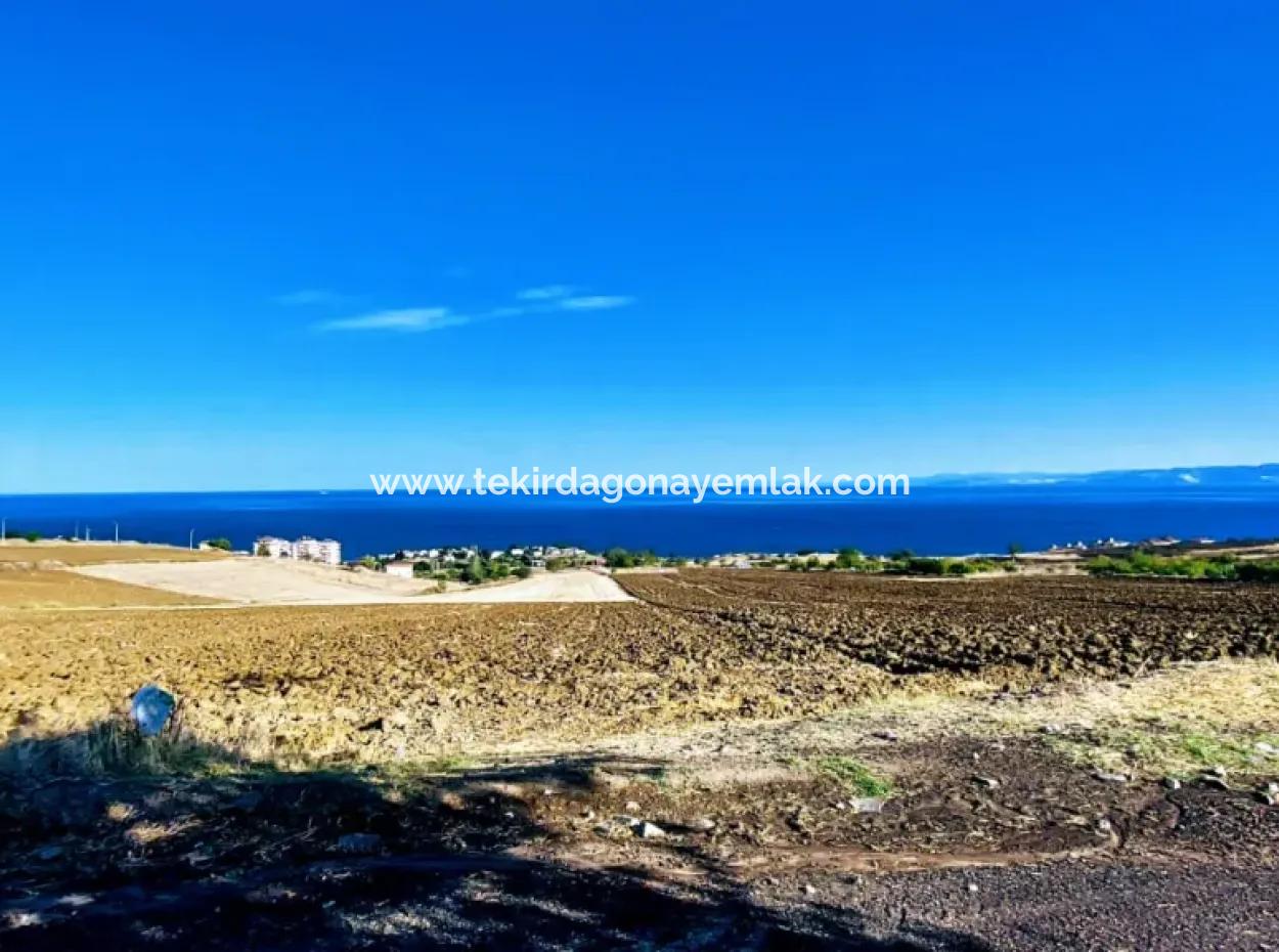 High Profit Guarantee Invest In 44 Flats Of Mass Housing Area Give To Contractors Double Your Profits