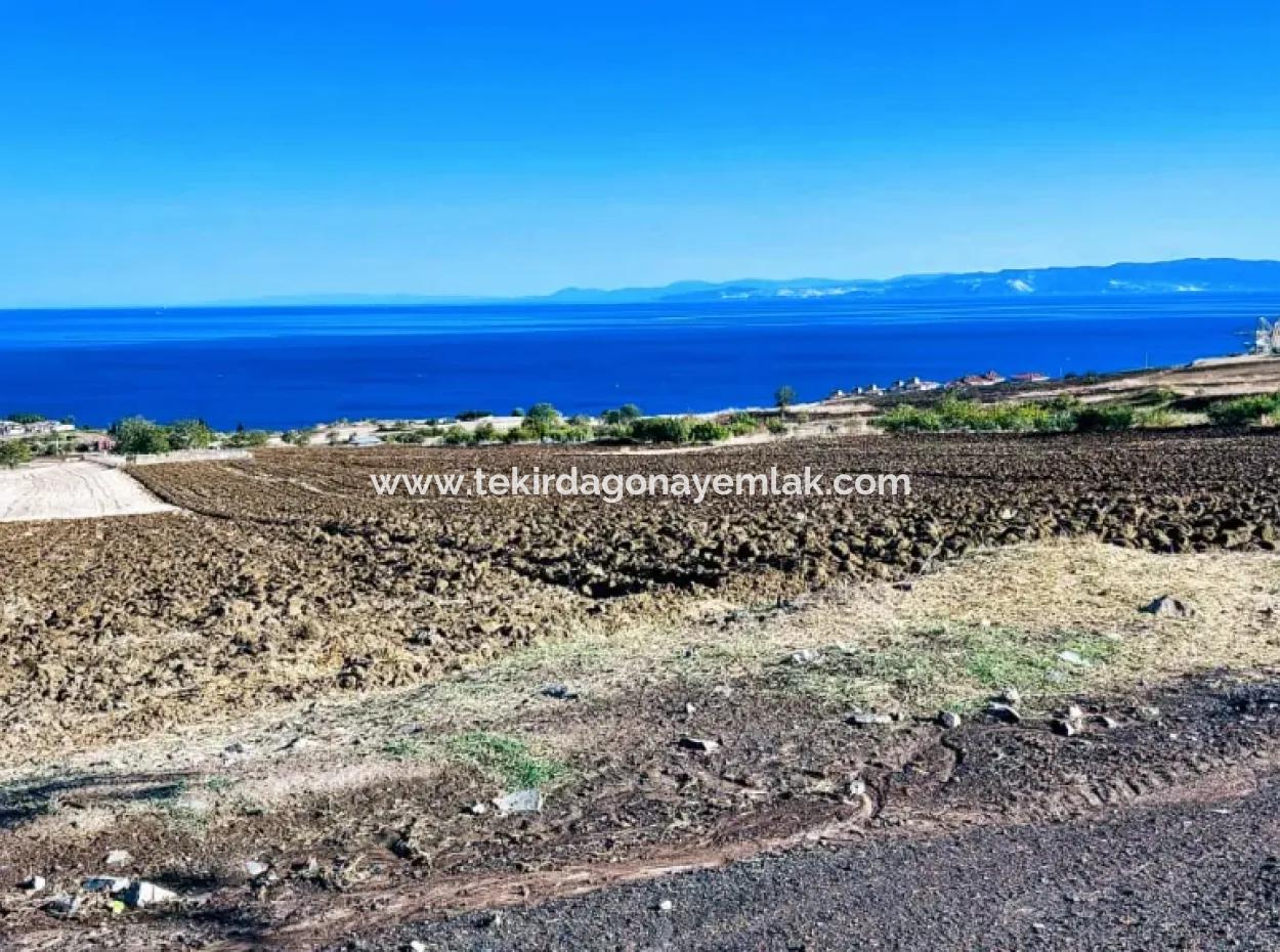 High Profit Guarantee Invest In 44 Flats Of Mass Housing Area Give To Contractors Double Your Profits