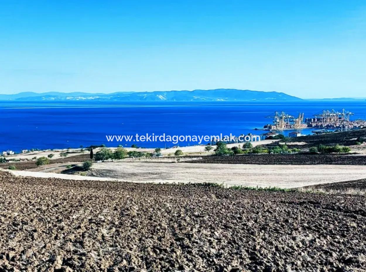 High Profit Guarantee Invest In 44 Flats Of Mass Housing Area Give To Contractors Double Your Profits