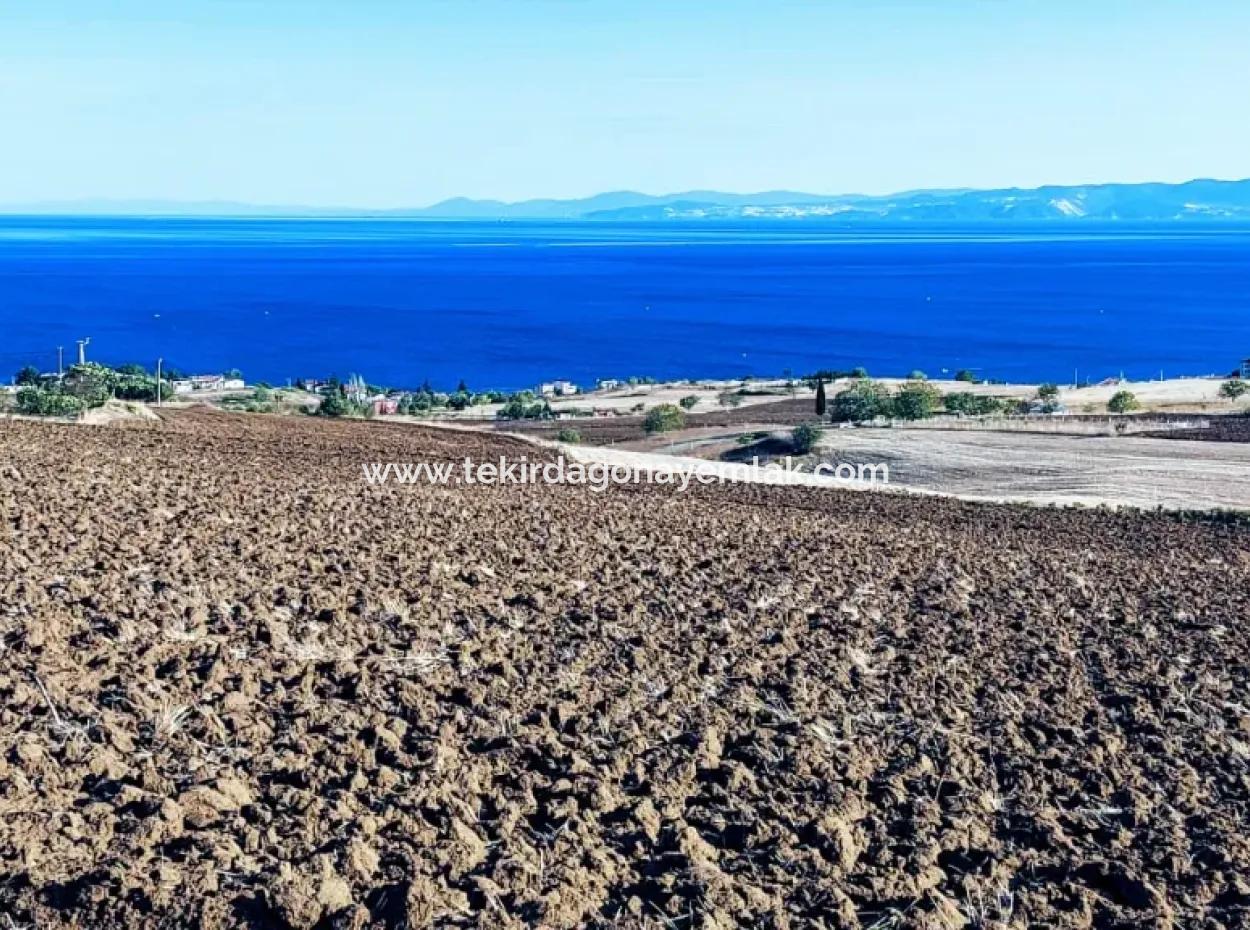 High Profit Guarantee Invest In 44 Flats Of Mass Housing Area Give To Contractors Double Your Profits