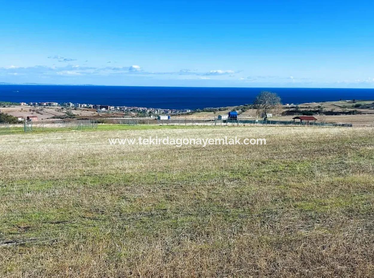 Apply Luxury Villa Project For Urgent Sale Provide High Kaznç Location Magnificent Completely Full Sea And Nature View