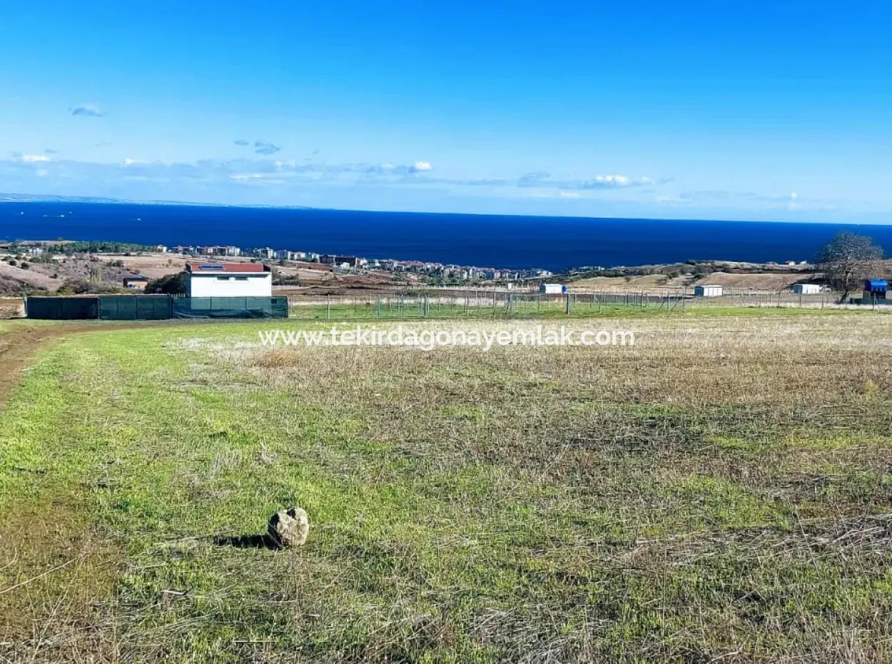 Apply Luxury Villa Project For Urgent Sale Provide High Kaznç Location Magnificent Completely Full Sea And Nature View