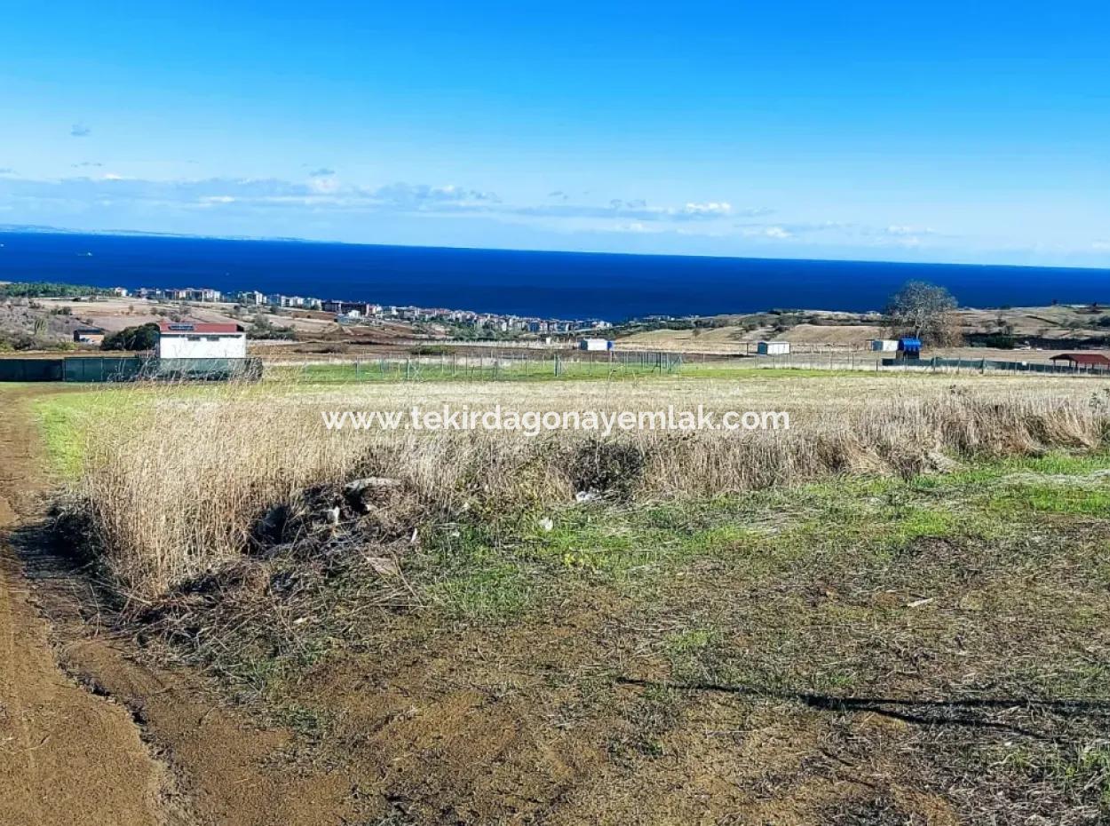 Apply Luxury Villa Project For Urgent Sale Provide High Kaznç Location Magnificent Completely Full Sea And Nature View