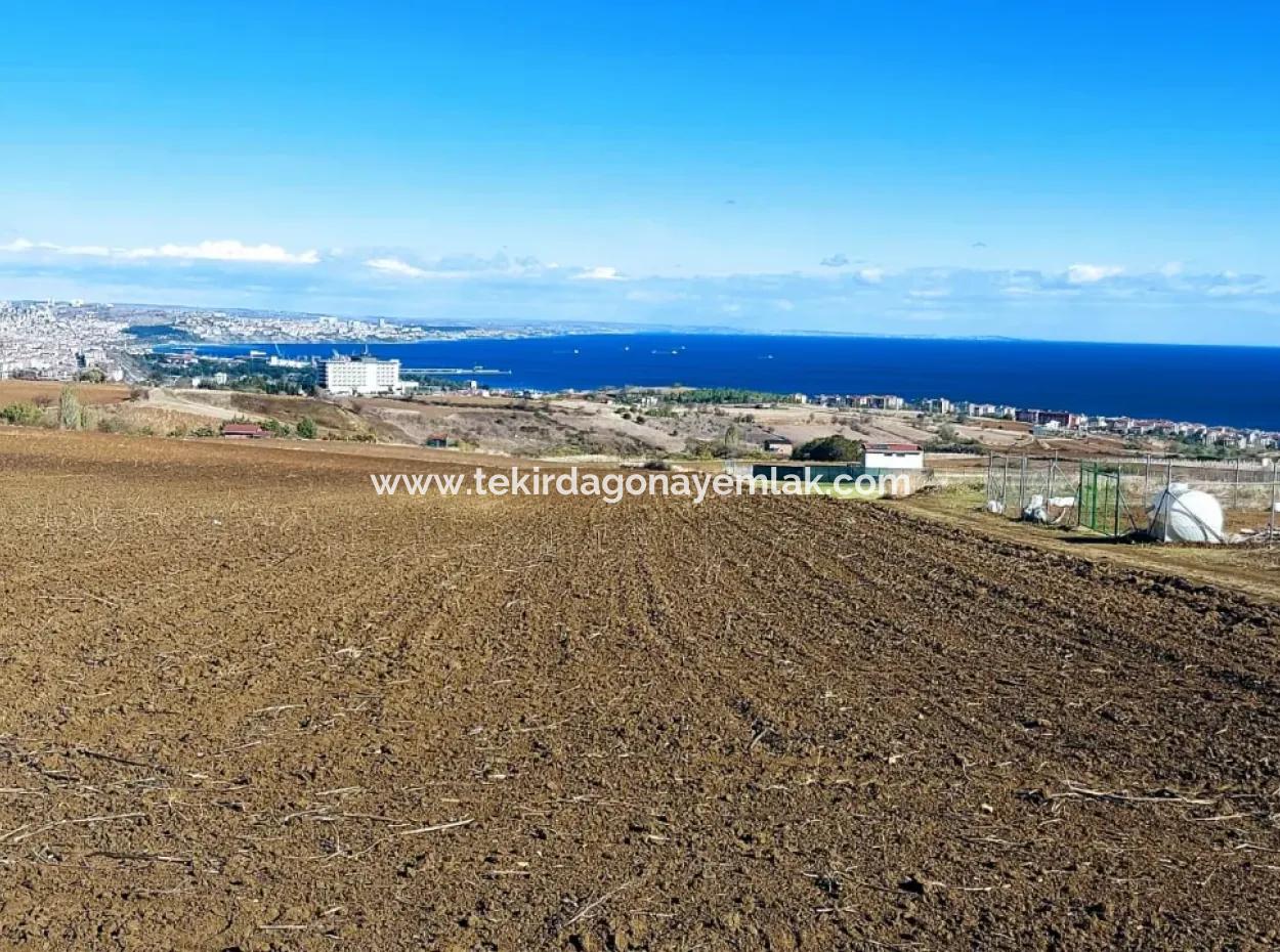 Apply Luxury Villa Project For Urgent Sale Provide High Kaznç Location Magnificent Completely Full Sea And Nature View