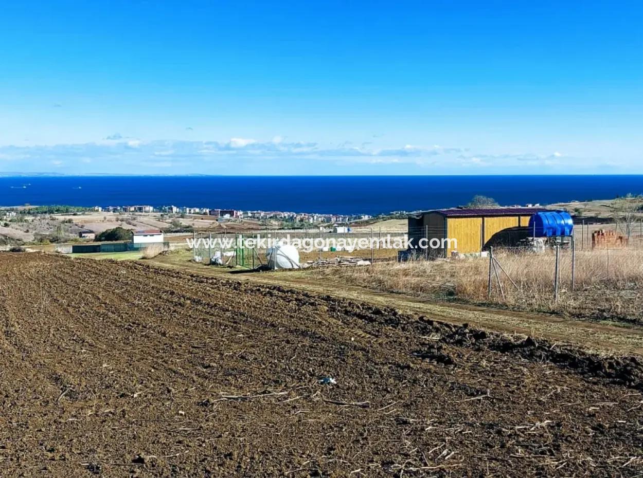 Apply Luxury Villa Project For Urgent Sale Provide High Kaznç Location Magnificent Completely Full Sea And Nature View