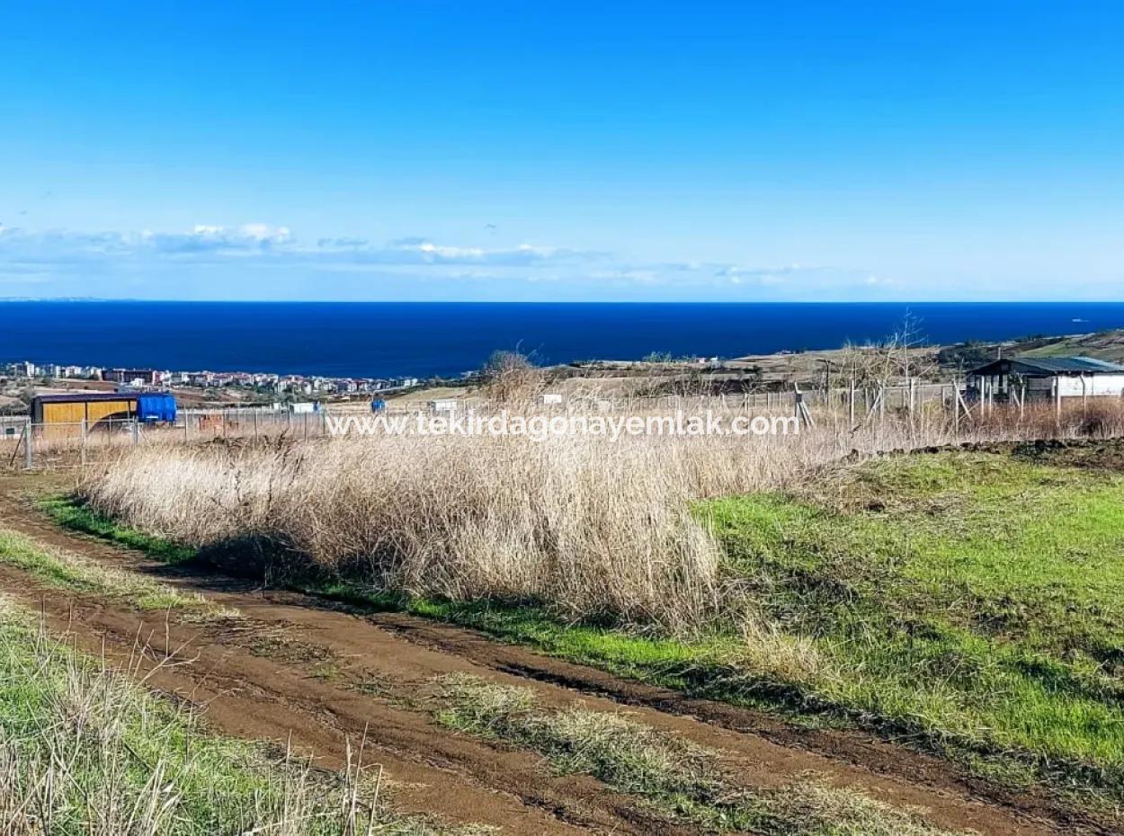 Apply Luxury Villa Project For Urgent Sale Provide High Kaznç Location Magnificent Completely Full Sea And Nature View