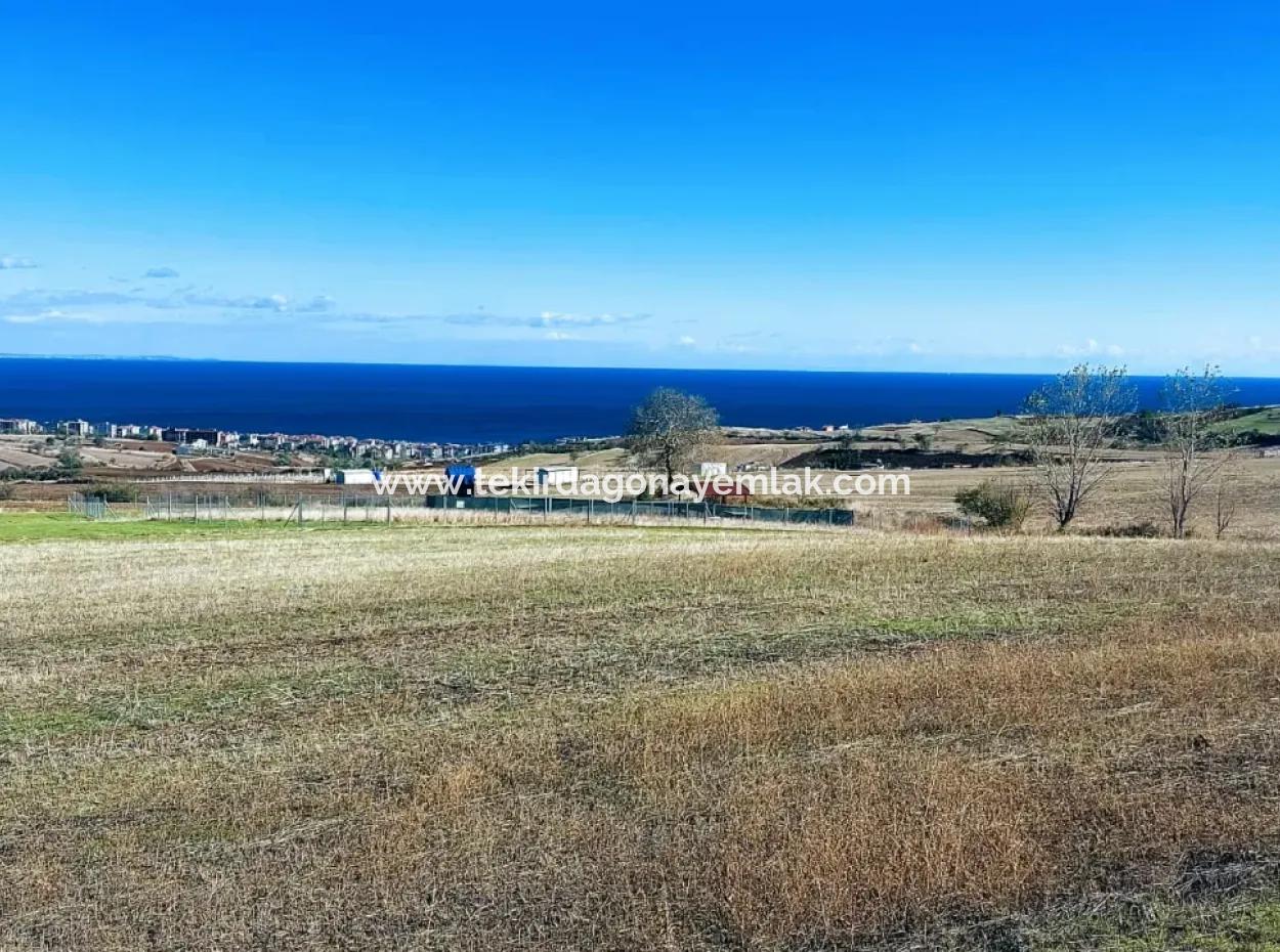 Apply Luxury Villa Project For Urgent Sale Provide High Kaznç Location Magnificent Completely Full Sea And Nature View