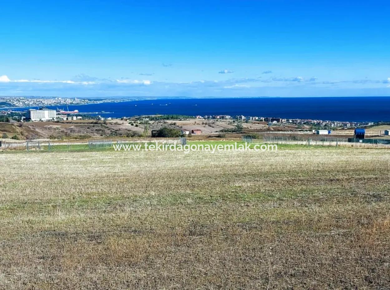 Apply Luxury Villa Project For Urgent Sale Provide High Kaznç Location Magnificent Completely Full Sea And Nature View