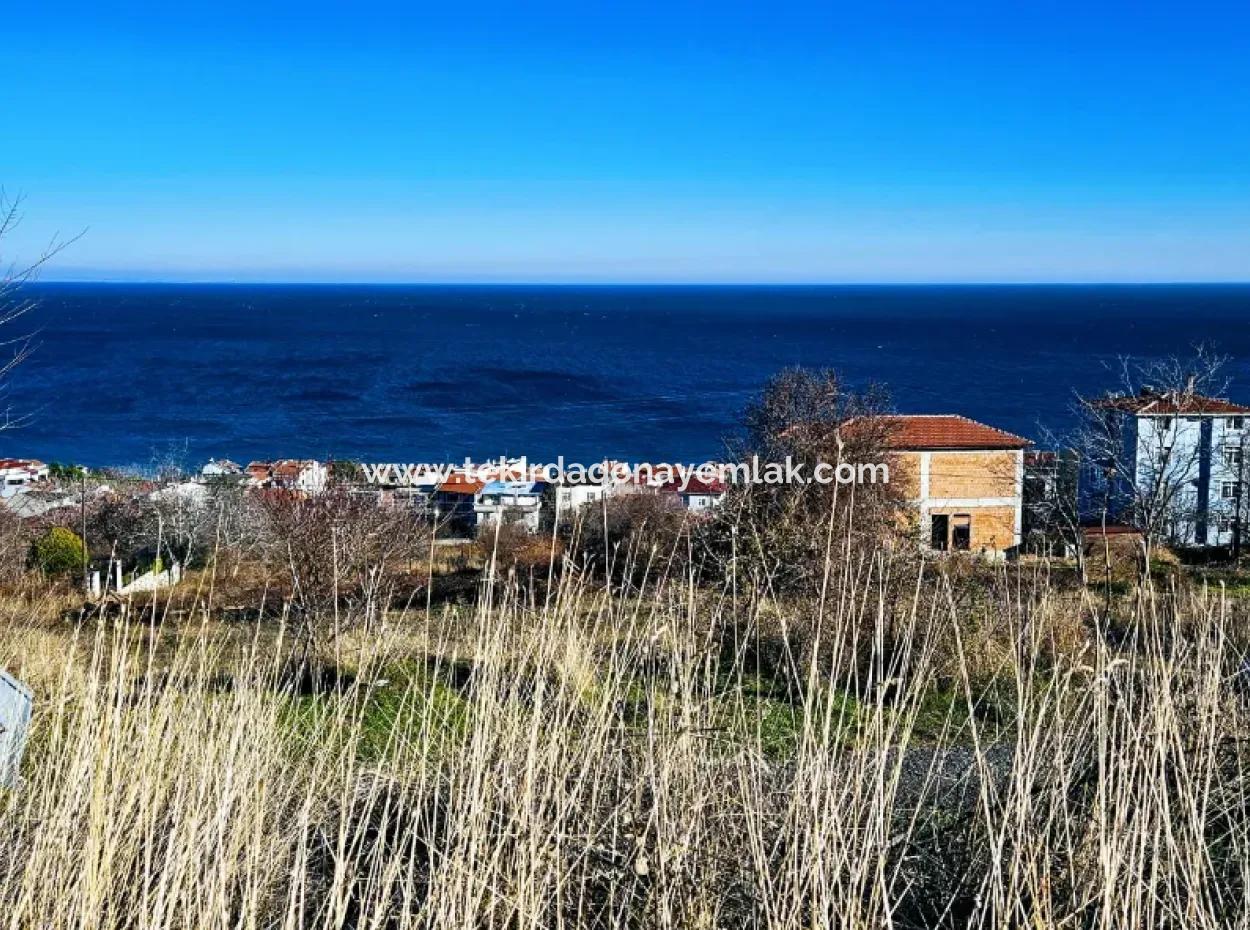 Unmissable Opportunity Plot With The Opportunity To Build 3 Luxury Villas With Full Sea View