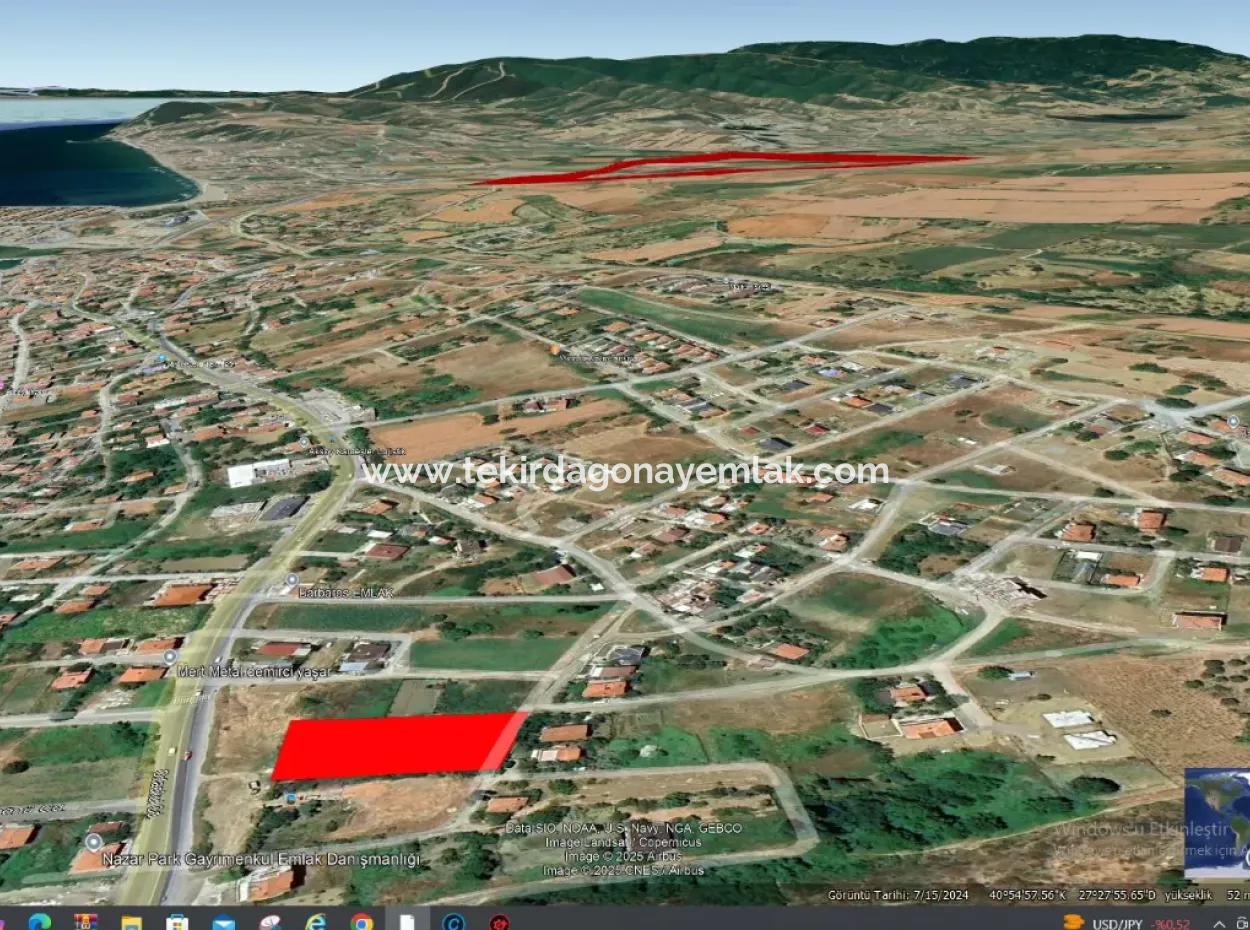 Apply A Great Project For Urgent Sale In Tekirdag Barbarosta Make A High Profit 24 Flat Coupon Plot