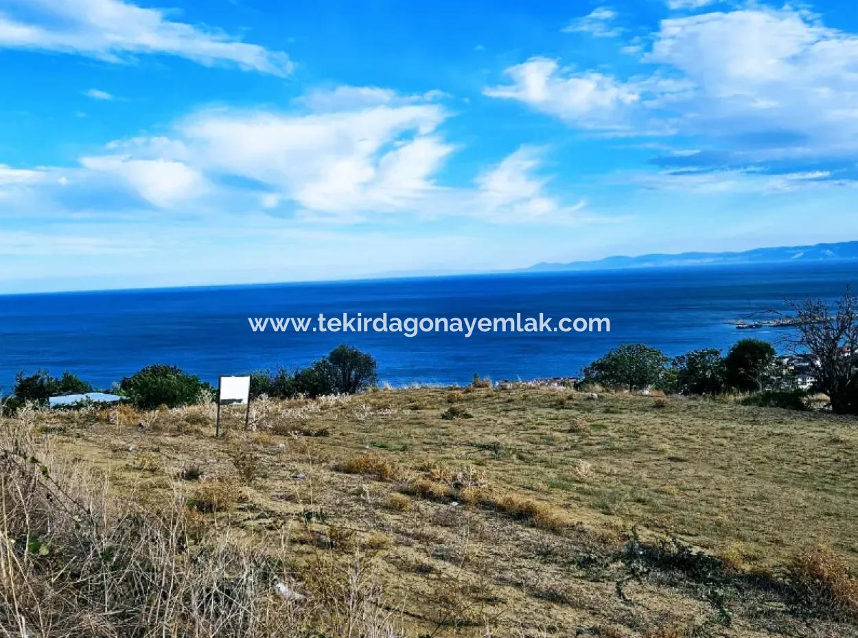 3.300 M2 Net Land Suitable For The Construction Of A Cooperative Site With Full Sea View For Urgent Sale In Tekirdag Barbarosta