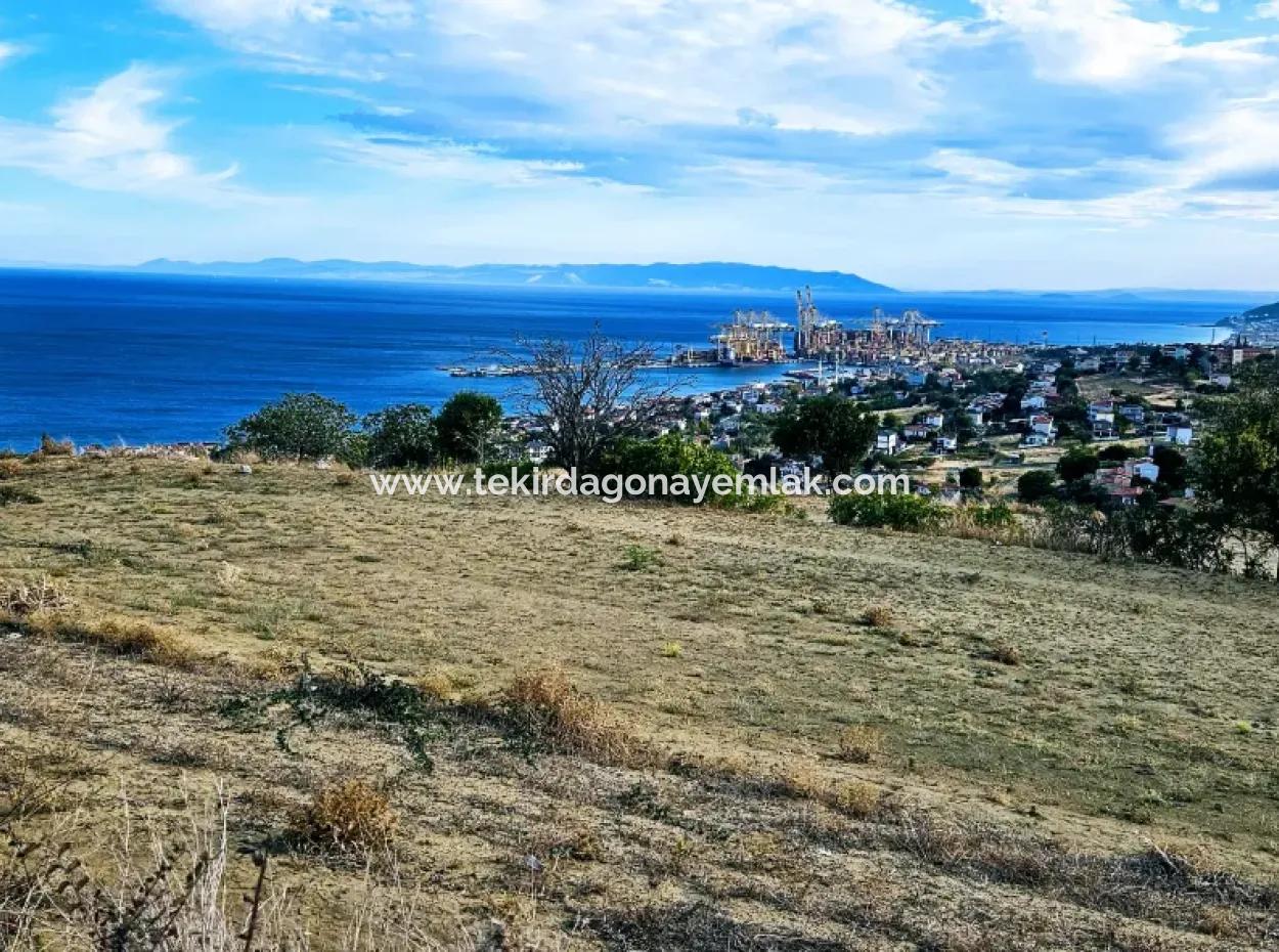 3.300 M2 Net Land Suitable For The Construction Of A Cooperative Site With Full Sea View For Urgent Sale In Tekirdag Barbarosta
