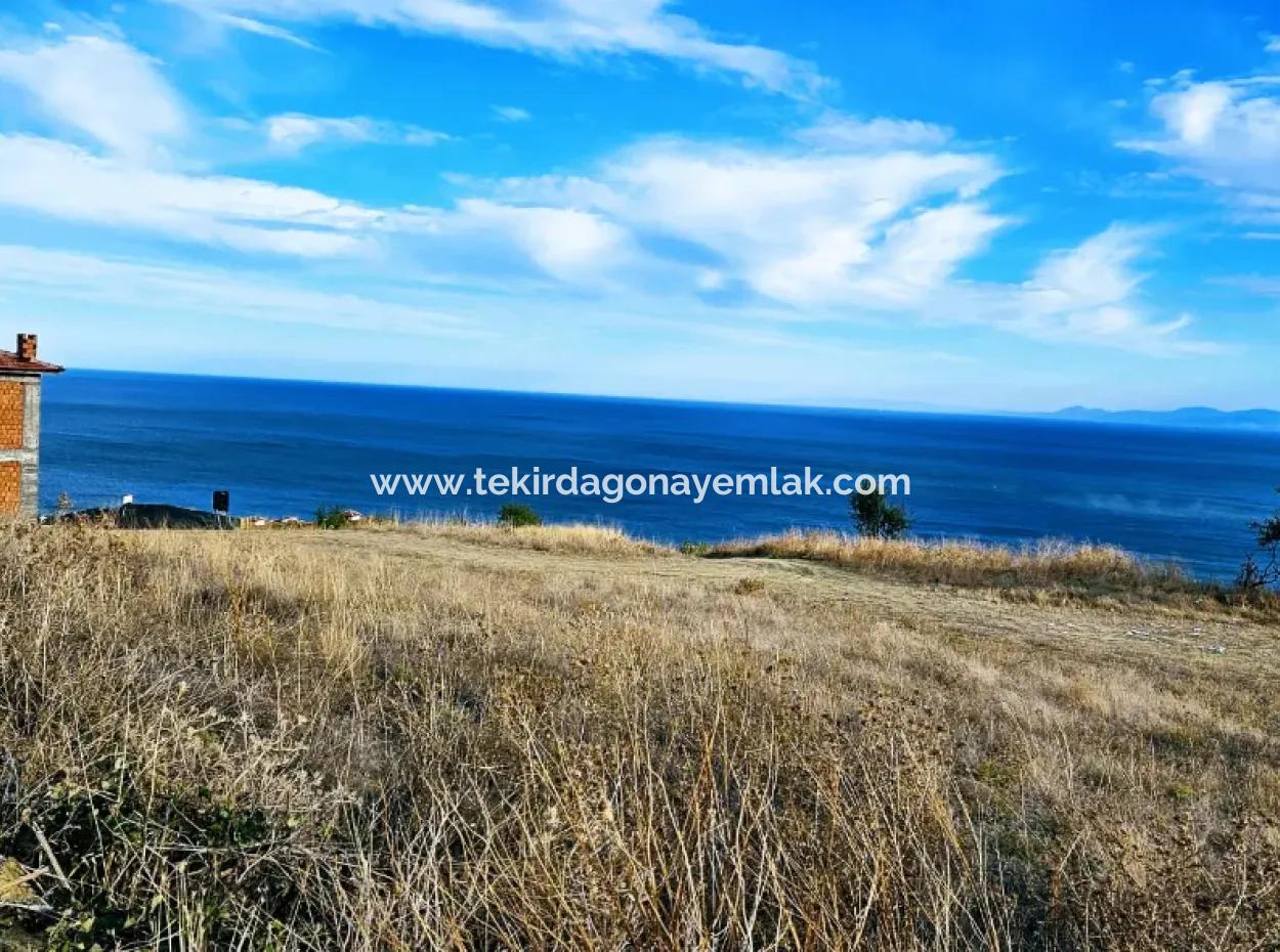 3.300 M2 Net Land Suitable For The Construction Of A Cooperative Site With Full Sea View For Urgent Sale In Tekirdag Barbarosta