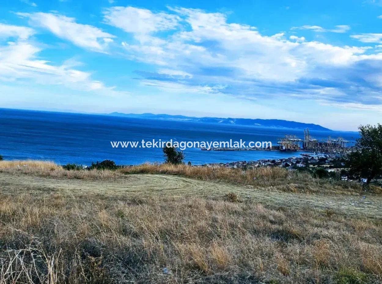 3.300 M2 Net Land Suitable For The Construction Of A Cooperative Site With Full Sea View For Urgent Sale In Tekirdag Barbarosta