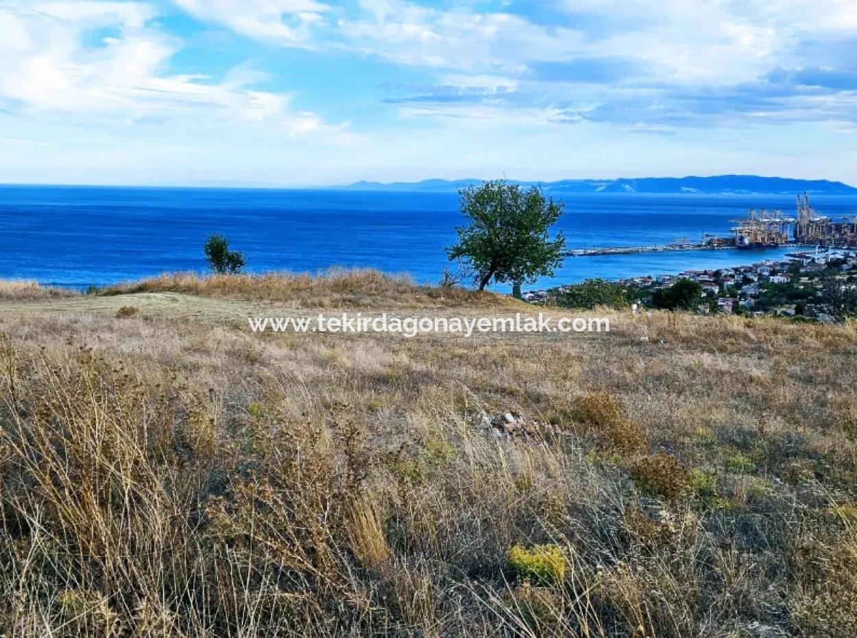 3.300 M2 Net Land Suitable For The Construction Of A Cooperative Site With Full Sea View For Urgent Sale In Tekirdag Barbarosta