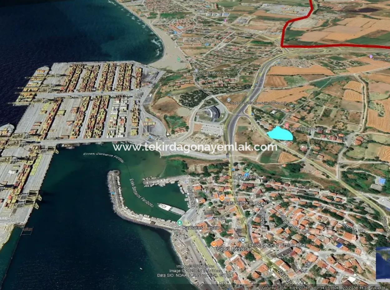 Do Not Miss This Opportunity With Its Proximity To Asyaport Port And Commercial Land