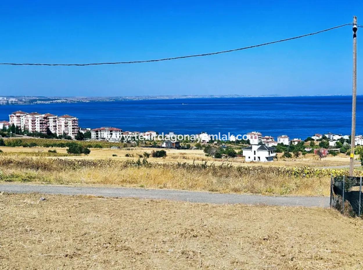 Opportunity Land Suitable For Building Your Detached House In Your Pregnant House For Urgent Sale In Tekirdag Barbarosta