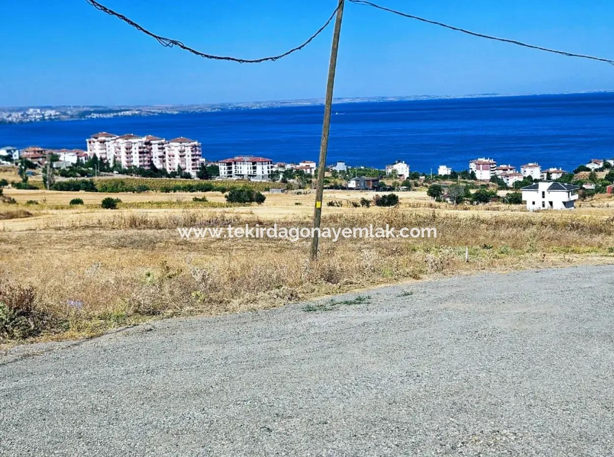 Opportunity Land Suitable For Building Your Detached House In Your Pregnant House For Urgent Sale In Tekirdag Barbarosta