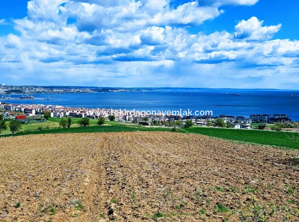 45 Flats Full Sea View Residential Zoned Land For Urgent Sale Tekirdag Barbarosta
