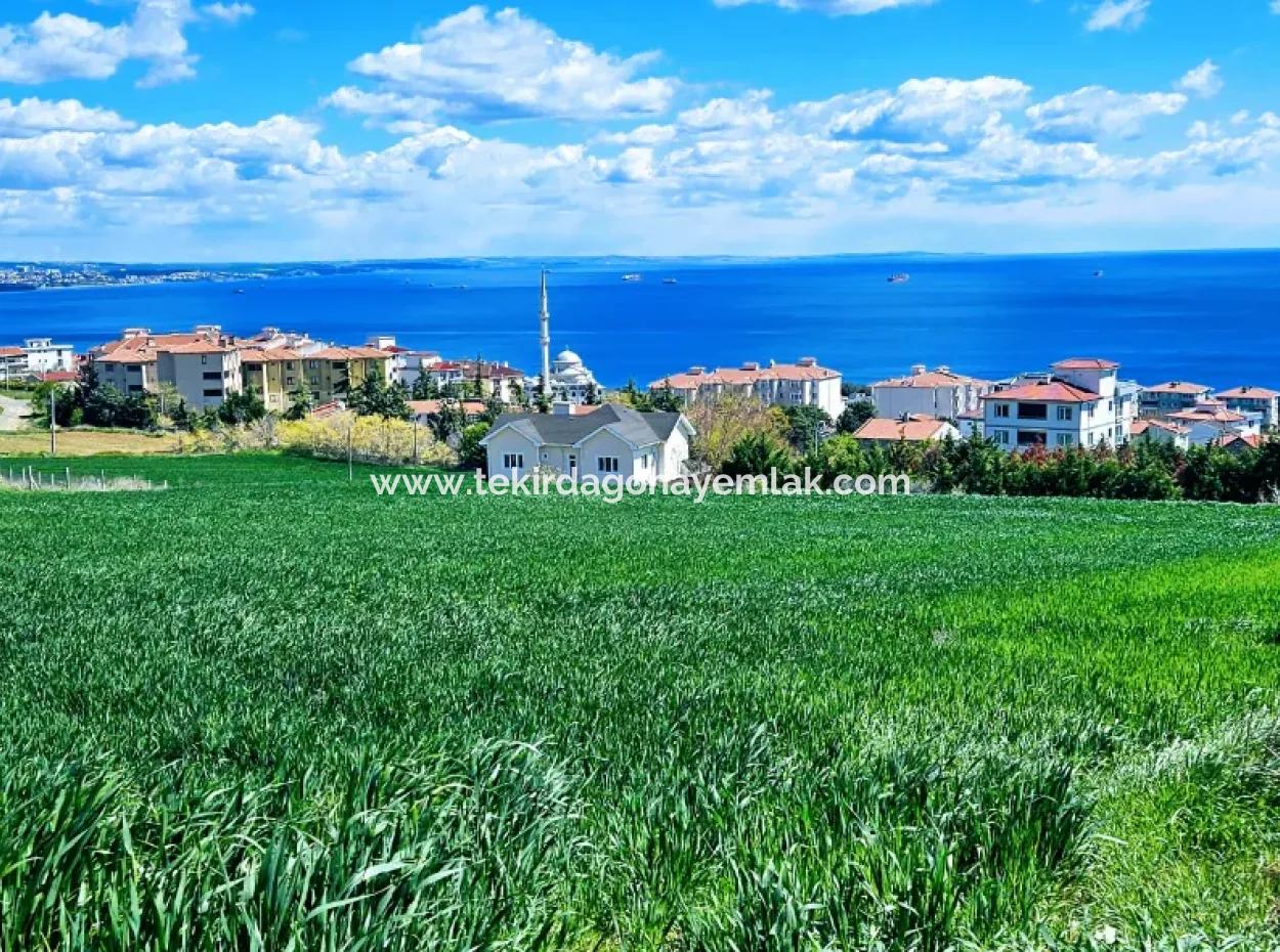 Wonderful Sea And Nature View Or Cooperative. Whether You Want To Build A Luxury Villa. 40 Flats 6.400 Residential Zoned Land