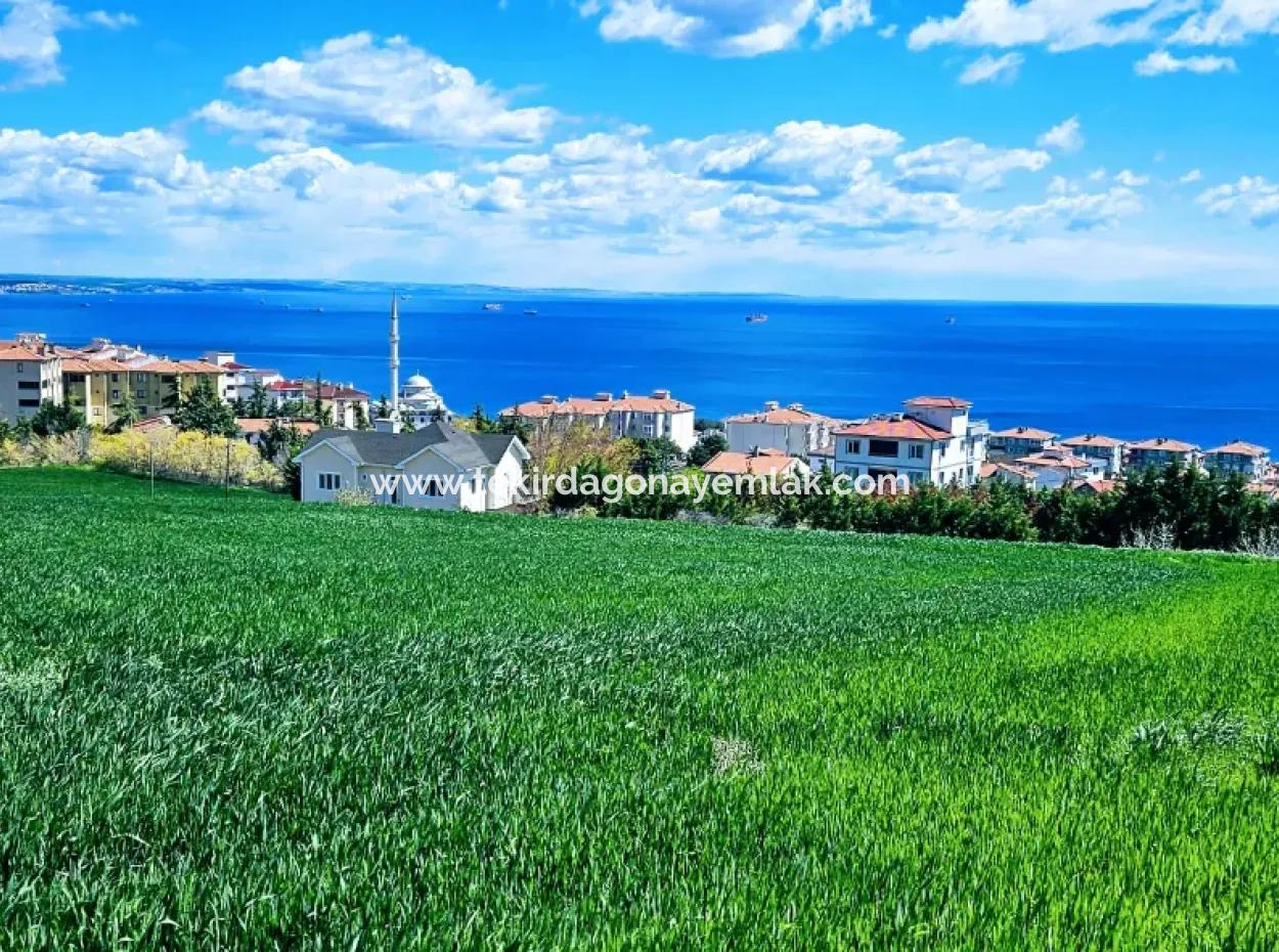 Wonderful Sea And Nature View Or Cooperative. Whether You Want To Build A Luxury Villa. 40 Flats 6.400 Residential Zoned Land