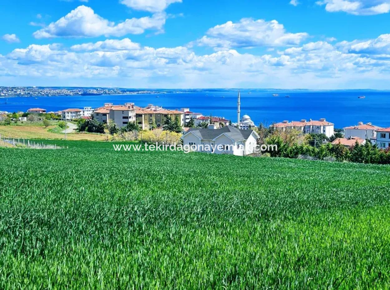 Wonderful Sea And Nature View Or Cooperative. Whether You Want To Build A Luxury Villa. 40 Flats 6.400 Residential Zoned Land