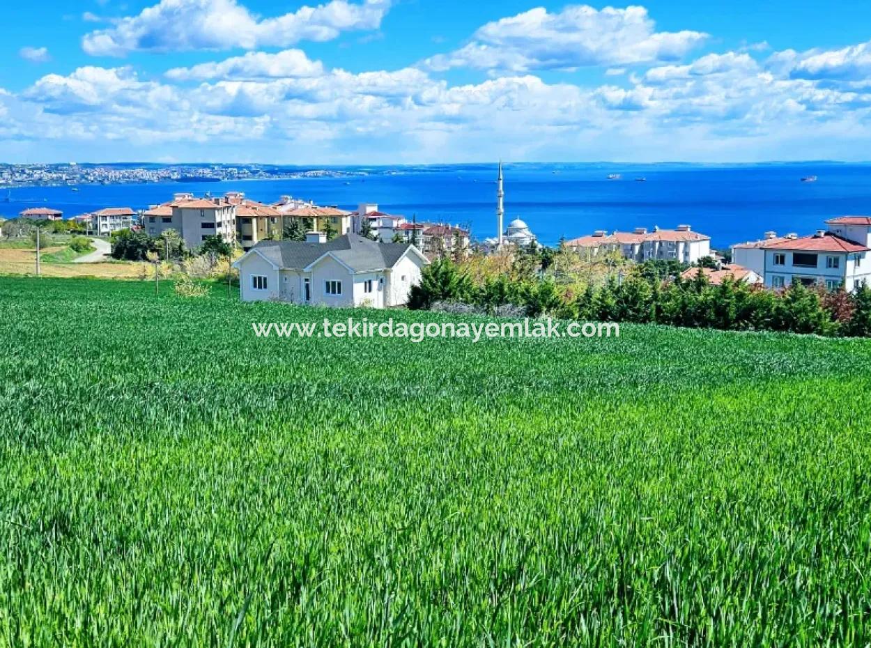 Wonderful Sea And Nature View Or Cooperative. Whether You Want To Build A Luxury Villa. 40 Flats 6.400 Residential Zoned Land