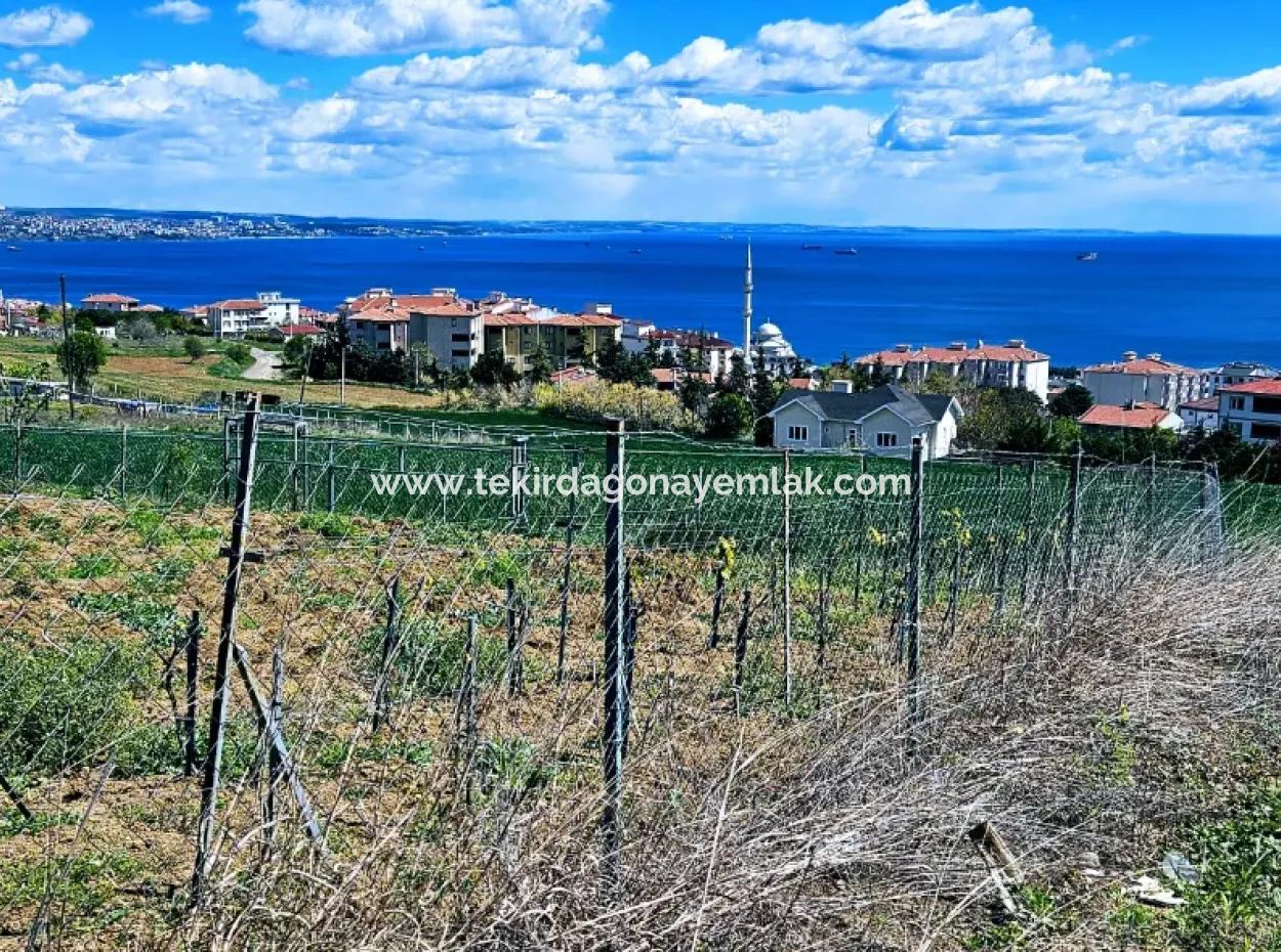 Wonderful Sea And Nature View Or Cooperative. Whether You Want To Build A Luxury Villa. 40 Flats 6.400 Residential Zoned Land