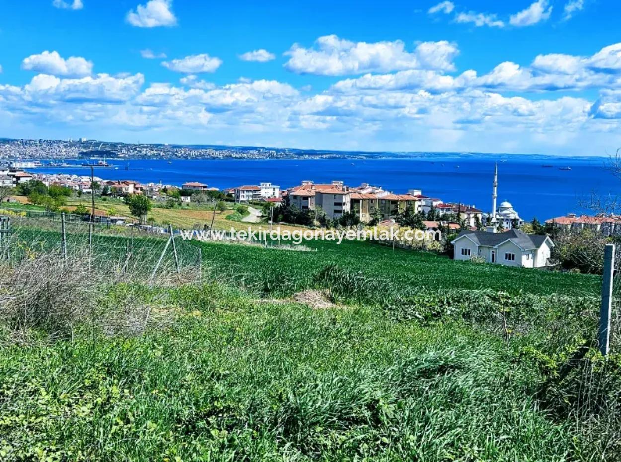 Wonderful Sea And Nature View Or Cooperative. Whether You Want To Build A Luxury Villa. 40 Flats 6.400 Residential Zoned Land