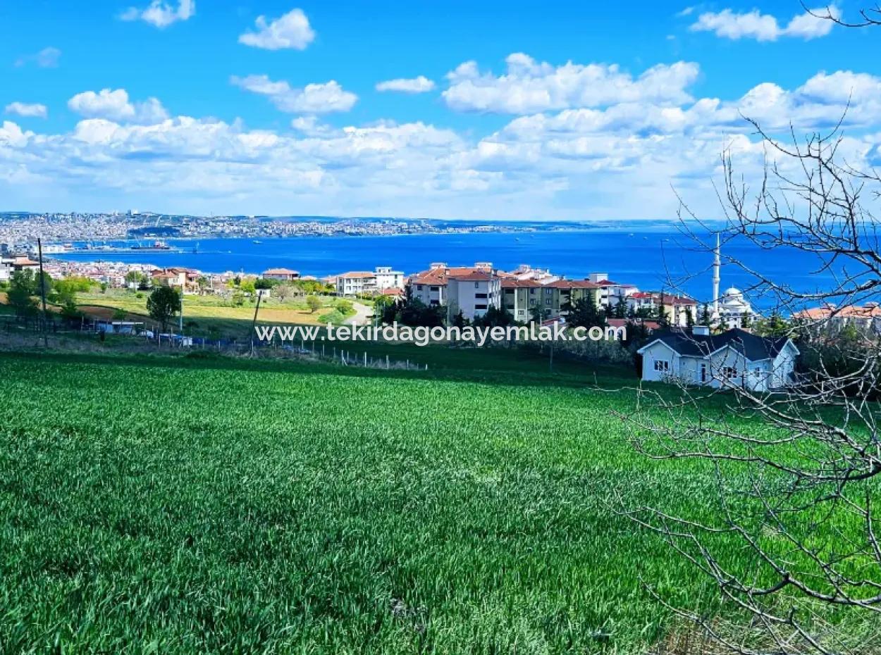 Wonderful Sea And Nature View Or Cooperative. Whether You Want To Build A Luxury Villa. 40 Flats 6.400 Residential Zoned Land